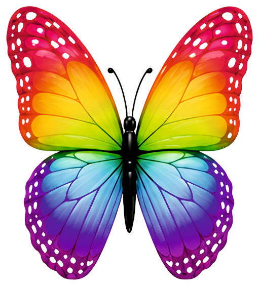 *HAGGING DANGLER | COLOR FUL BUTTERFLY |