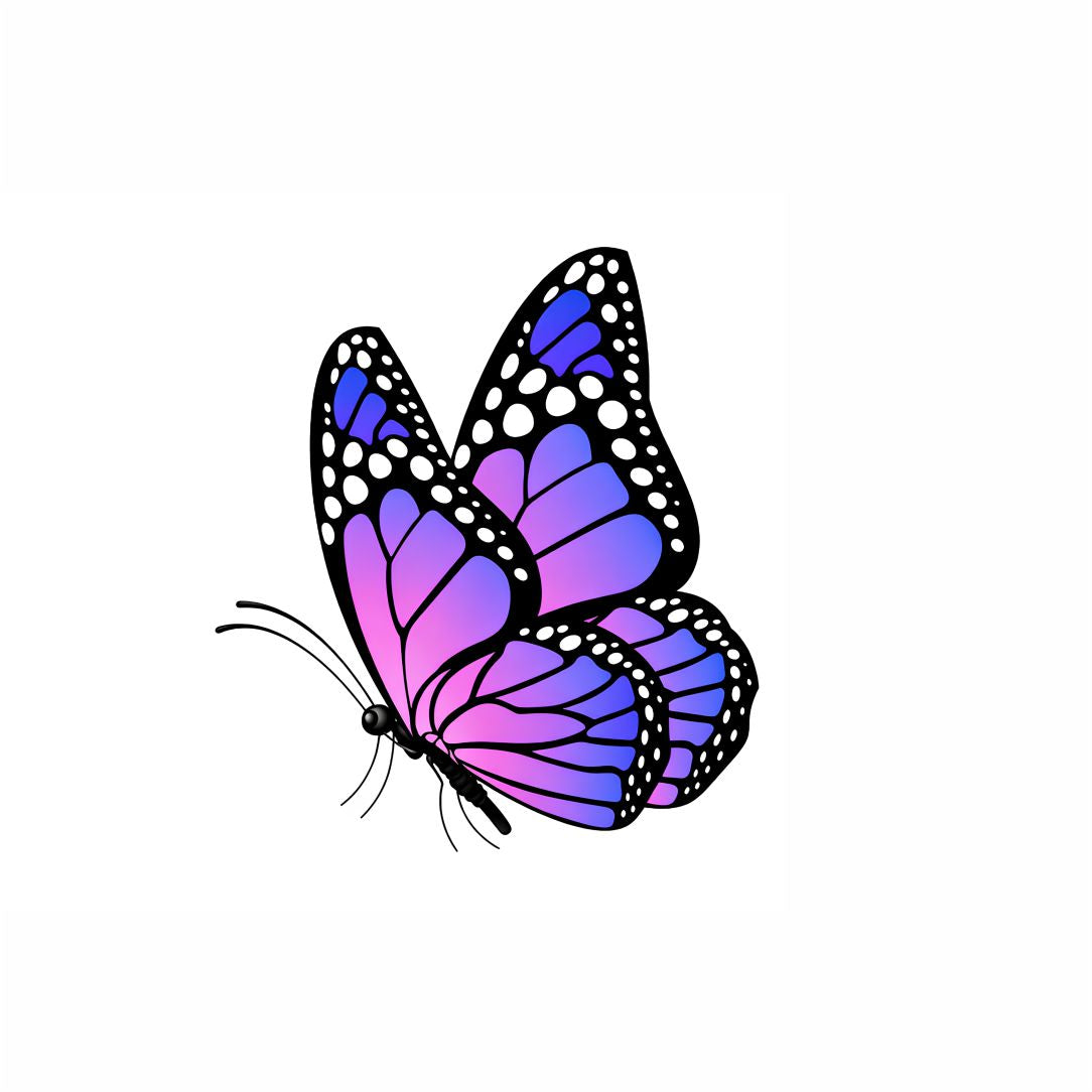 Beautiful Butterfly Poster