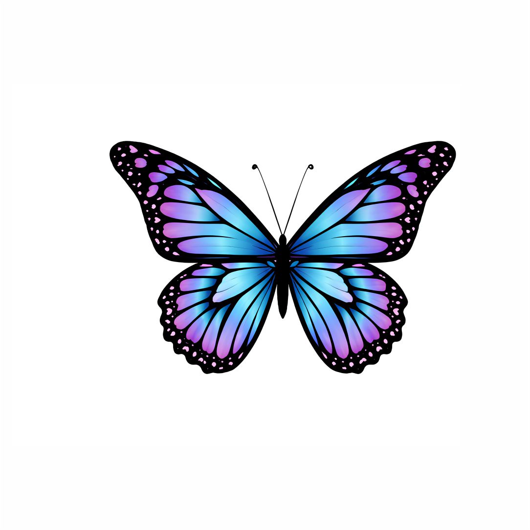 Blue Butterfly Poster