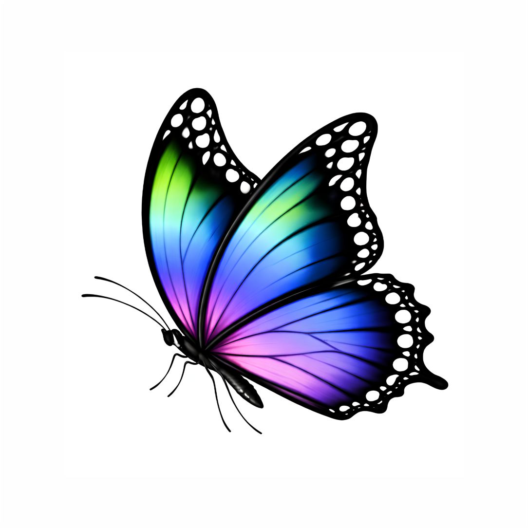 Elegant Butterfly Poster