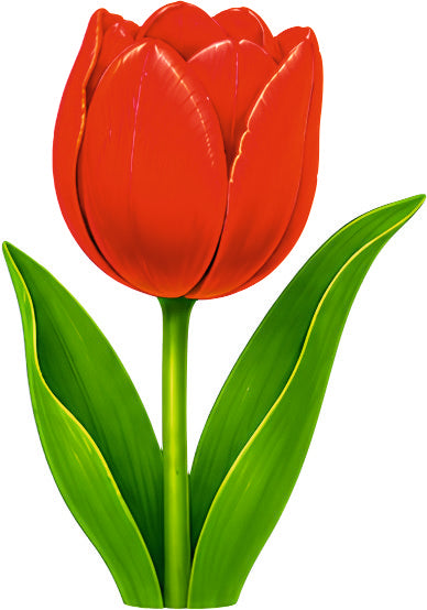 *HAGGING DANGLER | RED ROSE |