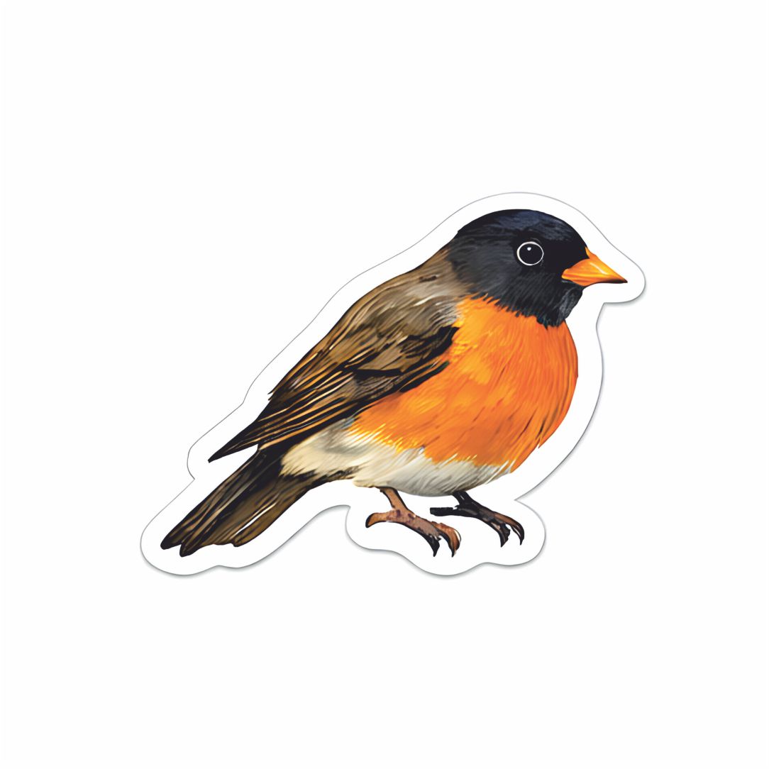 Vibrant Robin Poster