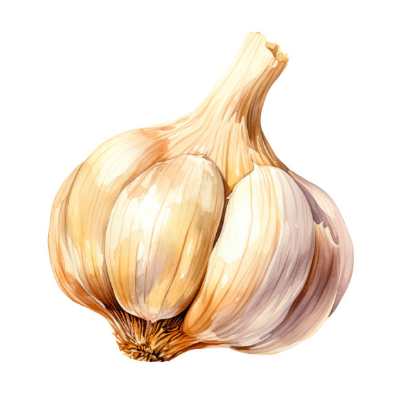 Farm Fresh Garlic