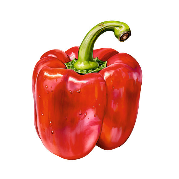 Farm Fresh Red Capsicum