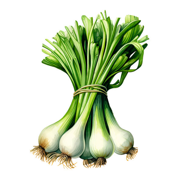 Farm Fresh Spring Onion