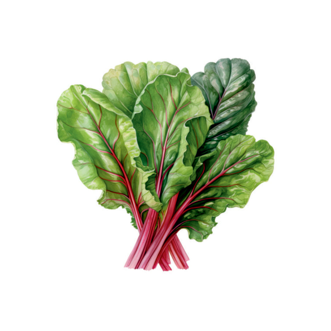 Farm Fresh Swiss Chard