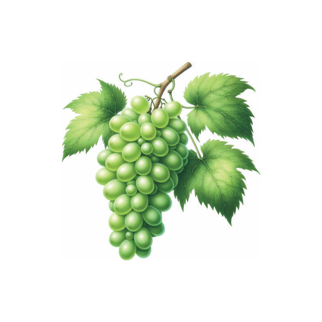 Fresh Green Grapes Bunch