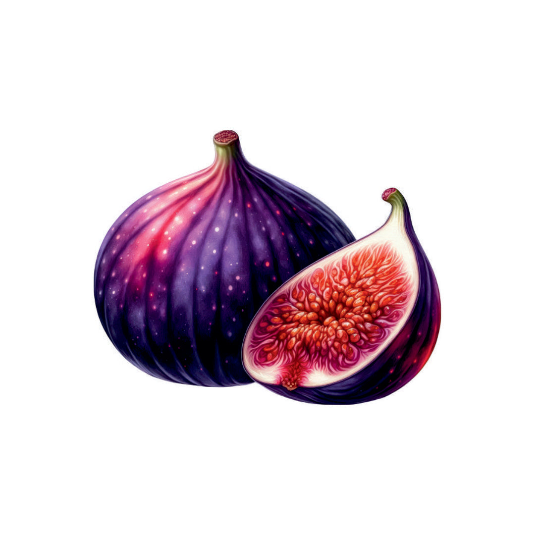 Fresh Royal Purple Fig