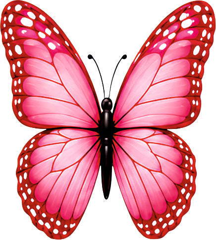*HAGGING DANGLER | PINK BUTTERFLY |