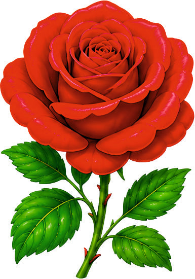*HAGGING DANGLER | ROSE |