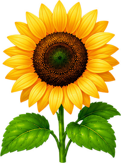 *HAGGING DANGLER | SUN FLOWER |