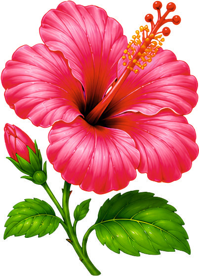 *HAGGING DANGLER | HIBISCUS |