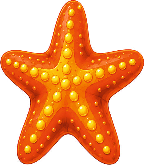 *HAGGING DANGLER | STARFISH |