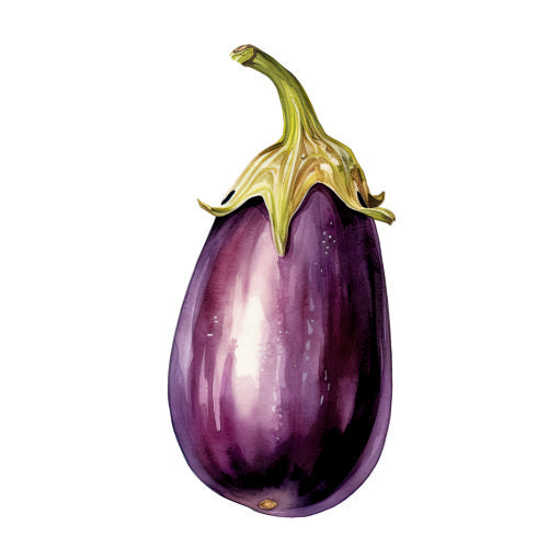 Farm Fresh Brinjal