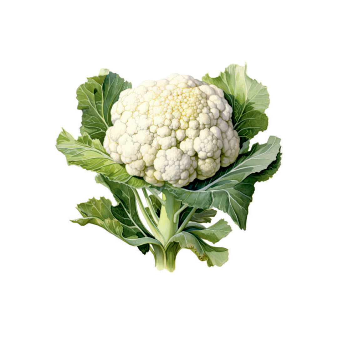 Farm Fresh Cauliflower