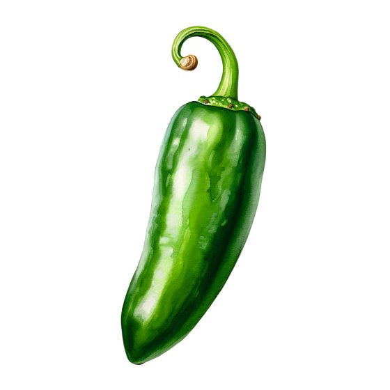 Farm Fresh Green Chilli