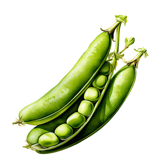 Farm Fresh Green Peas