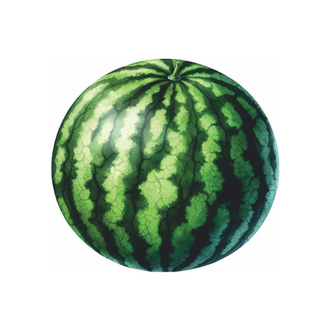 Farm Fresh Juicy Watermelon