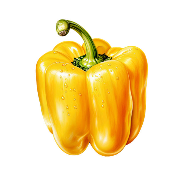 Farm Fresh Yellow Capsicum
