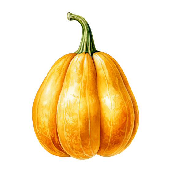 Farm Fresh Yellow Pumpkin