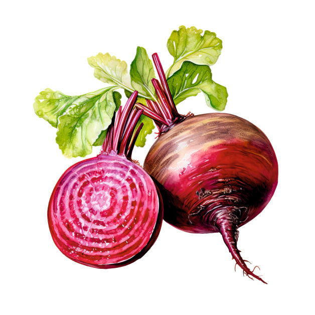 Fresh Beetroot
