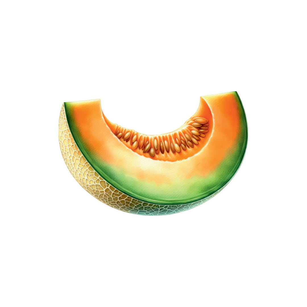 Sweet Fresh Muskmelon Slice